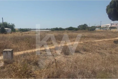 Terreno para Venda em Montenegro