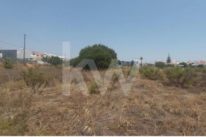 Terreno para Venda em Montenegro