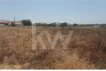 Terreno para Venda em Montenegro