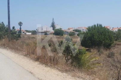 Terreno para Venda em Montenegro