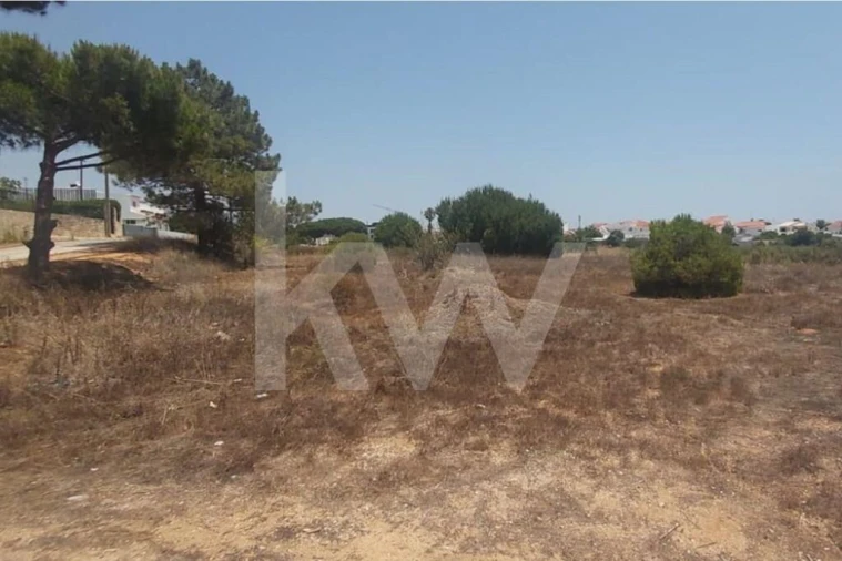 Terreno para Venda em Montenegro Foto 17