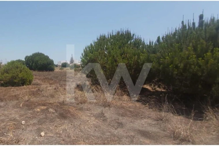 Terreno para Venda em Montenegro Foto 16