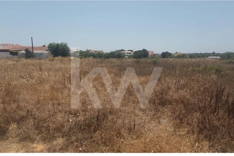 Terreno para Venda em Montenegro Foto 9