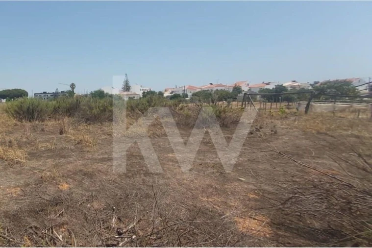 Terreno para Venda em Montenegro Foto 20