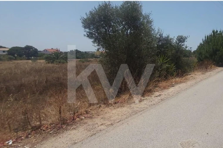 Terreno para Venda em Montenegro Foto 24
