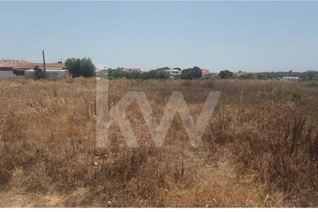 Terreno para Venda em Montenegro Foto 9