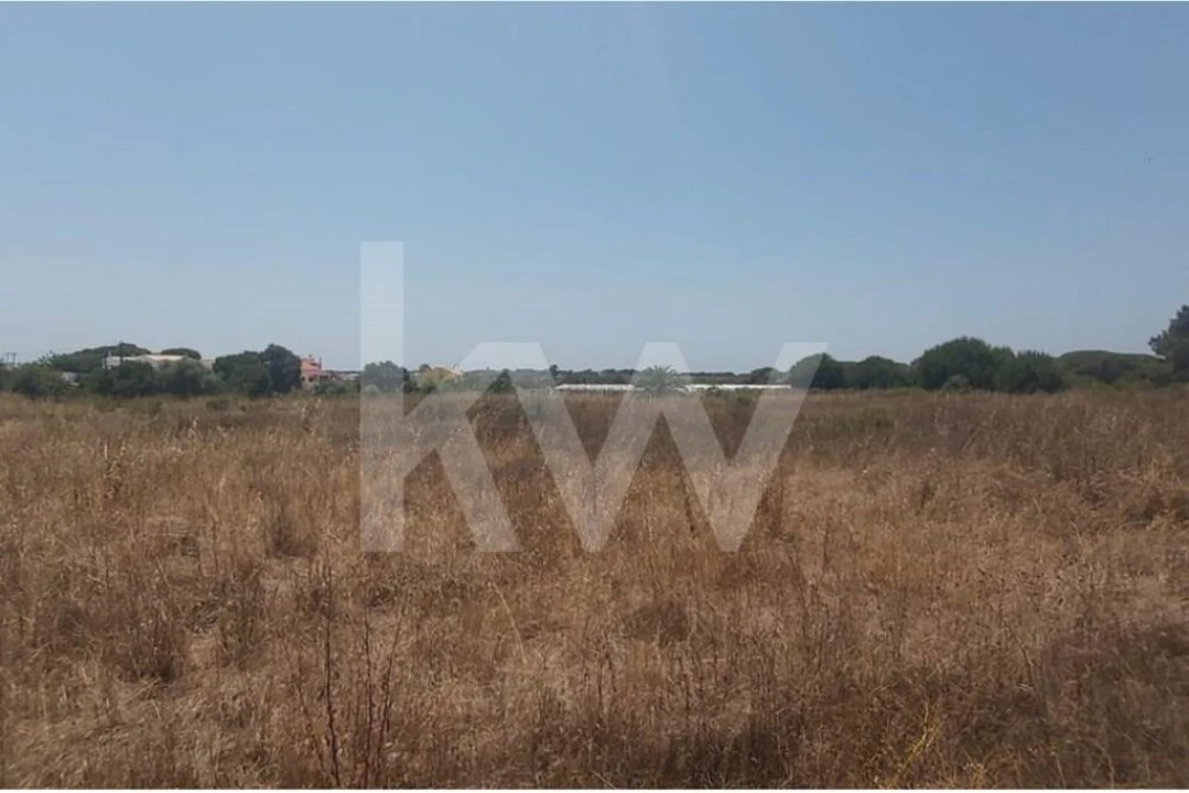 Terreno para Venda em Montenegro Foto 5