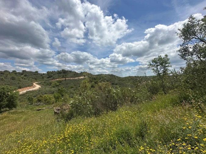 Terreno para Venda em Santa Clara-A-Velha Foto 6