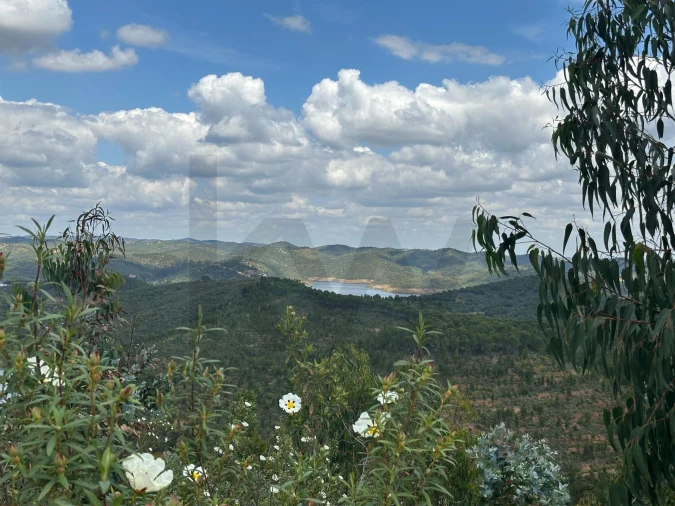 Terreno para Venda em Santa Clara-A-Velha Foto 10