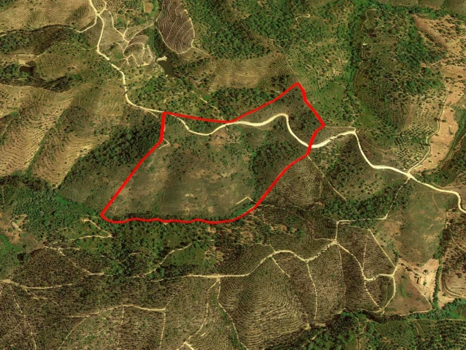 Terreno para Venda em Santa Clara-A-Velha Foto 7