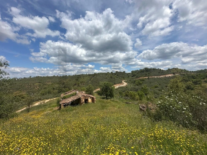 Terreno para Venda em Santa Clara-A-Velha Foto 5