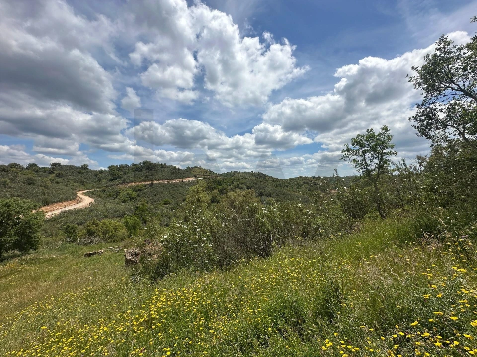 Terreno para Venda em Santa Clara-A-Velha Foto 6