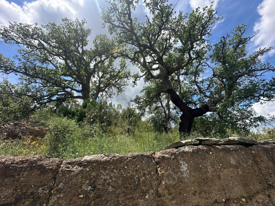 Terreno para Venda em Santa Clara-A-Velha Foto 4