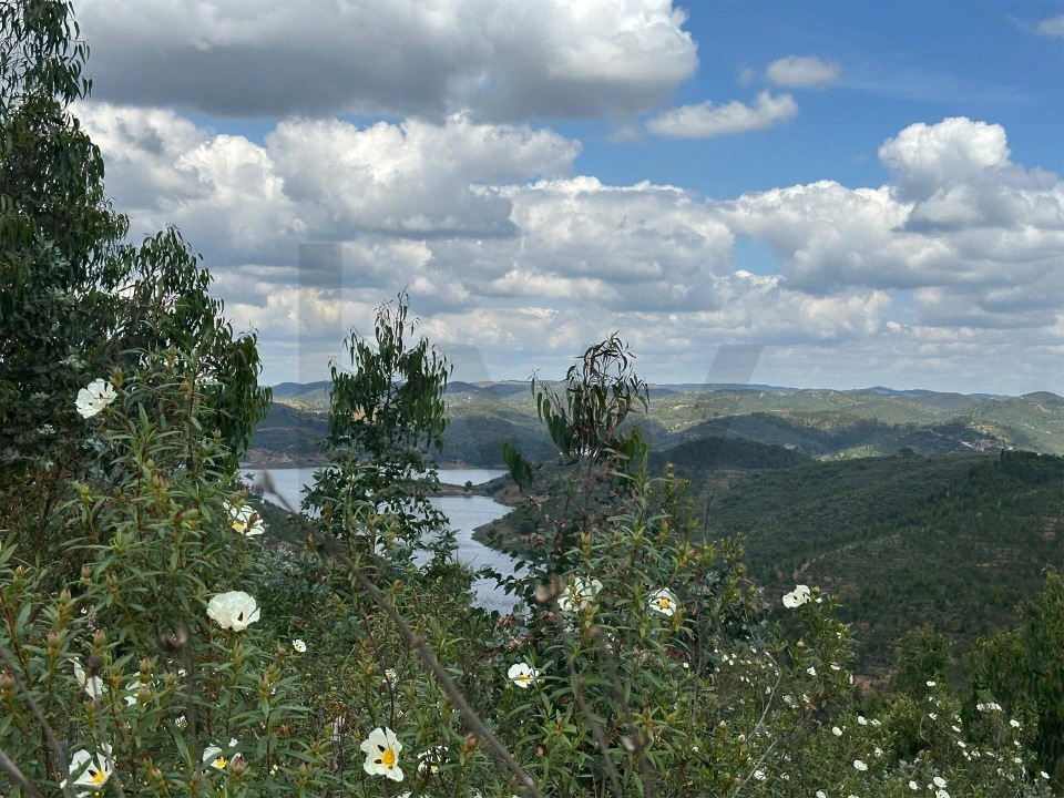 Terreno para Venda em Santa Clara-A-Velha Foto 11