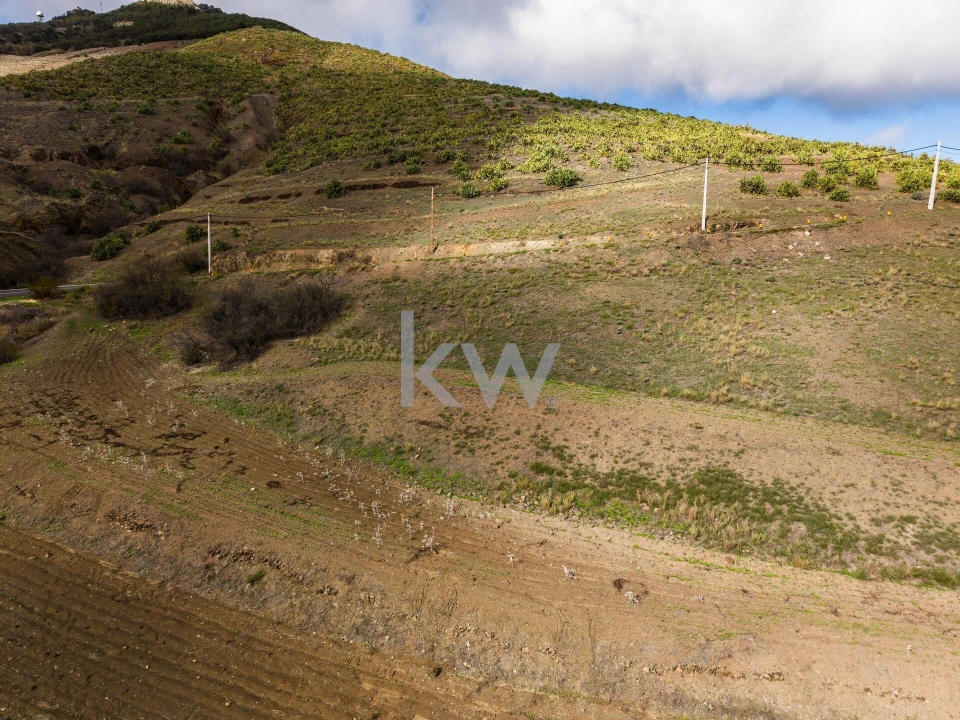 Terreno para Venda em Porto Santo Foto 6