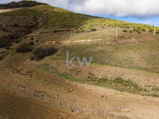 Terreno para Venda em Porto Santo Foto 6