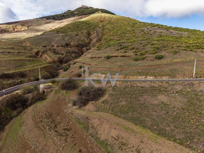 Terreno para Venda em Porto Santo Foto 4