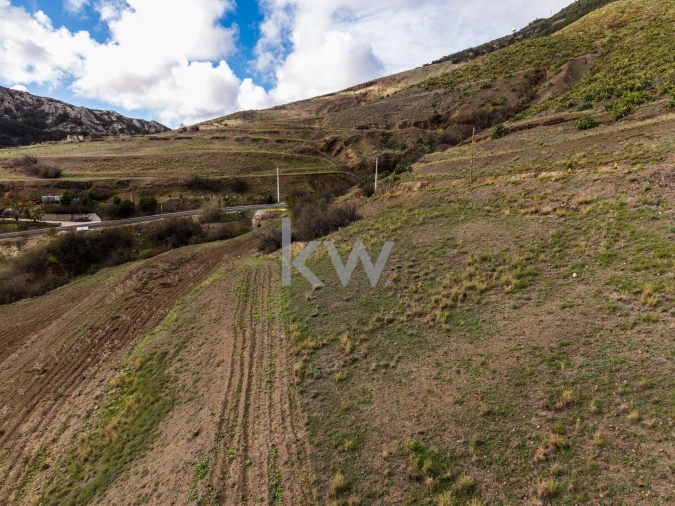Terreno para Venda em Porto Santo Foto 5