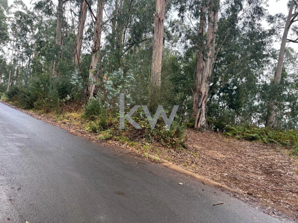 Terreno para Venda em Ponta do Sol Foto 2