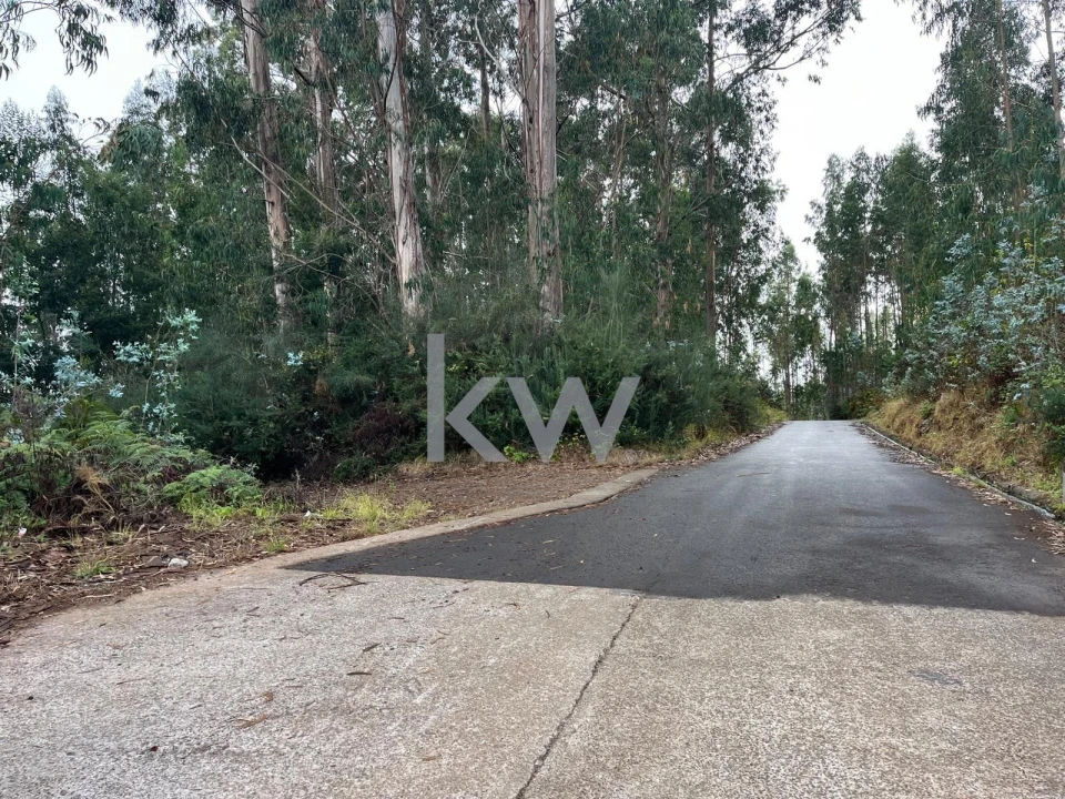 Terreno para Venda em Ponta do Sol Foto 19