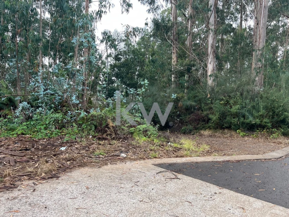 Terreno para Venda em Ponta do Sol Foto 20