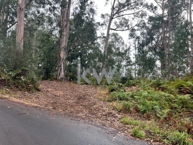 Terreno para Venda em Ponta do Sol Foto 12