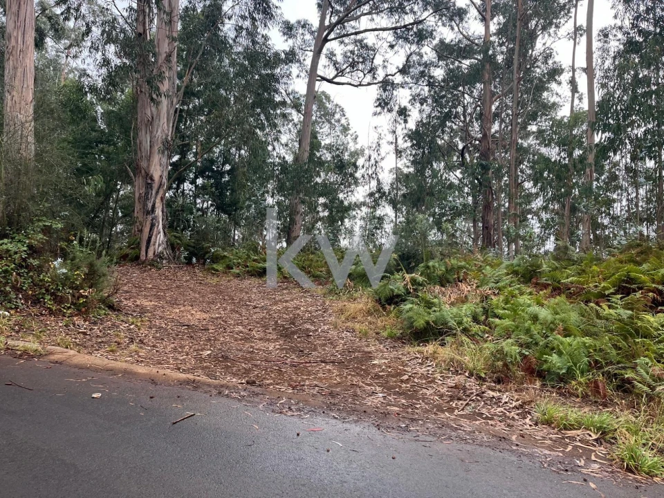 Terreno para Venda em Ponta do Sol Foto 6