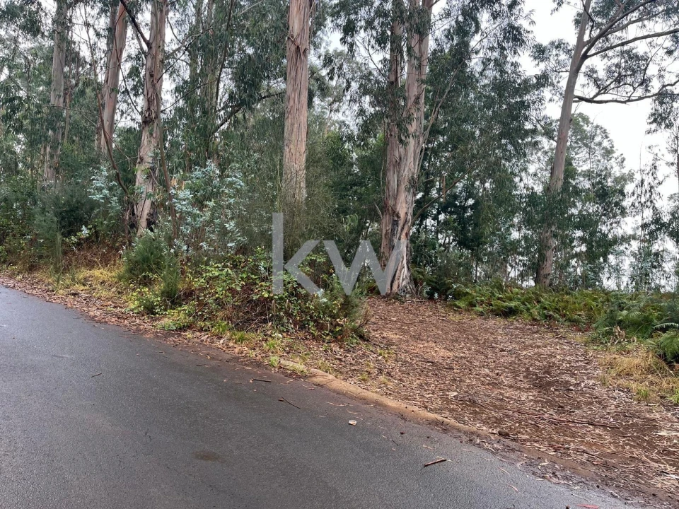 Terreno para Venda em Ponta do Sol Foto 30