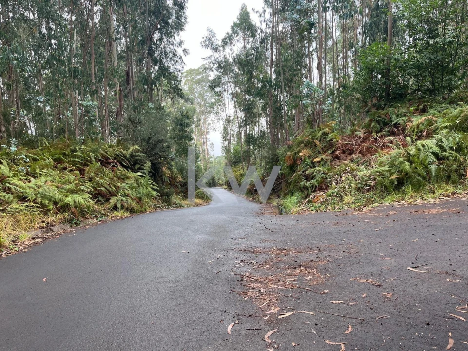 Terreno para Venda em Ponta do Sol Foto 4