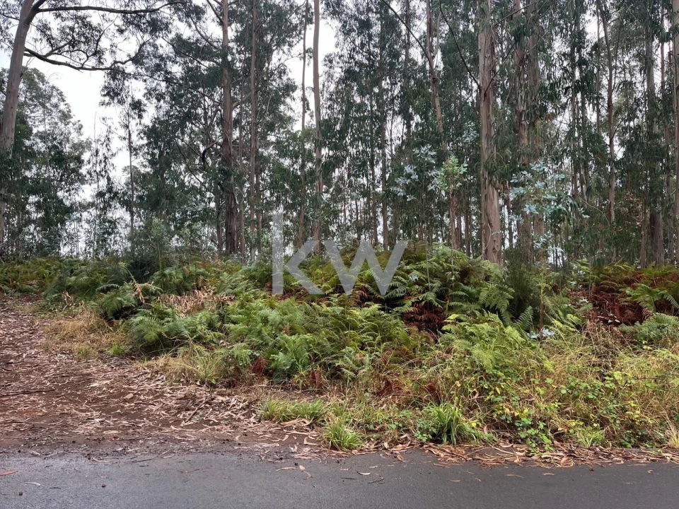 Terreno para Venda em Ponta do Sol Foto 3