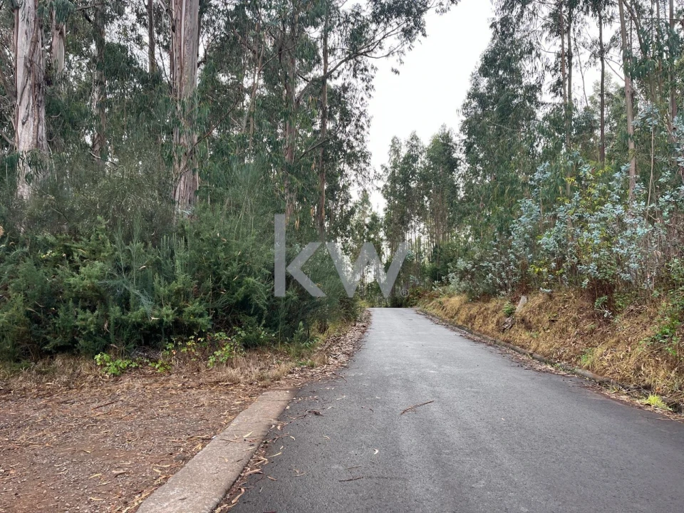 Terreno para Venda em Ponta do Sol Foto 22