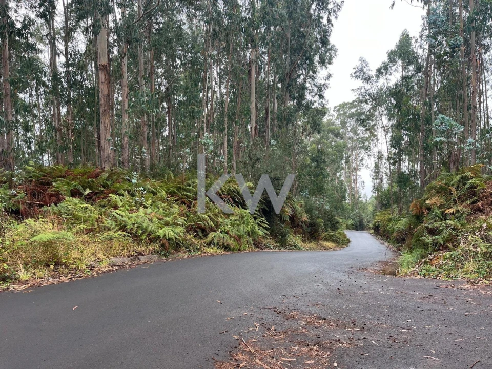 Terreno para Venda em Ponta do Sol Foto 10