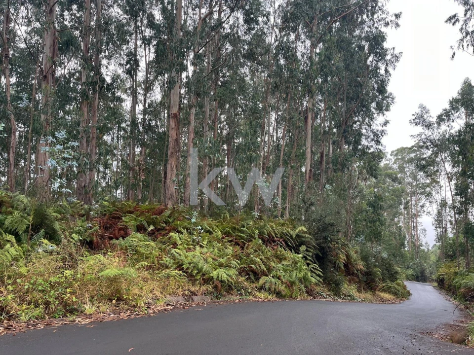 Terreno para Venda em Ponta do Sol Foto 9