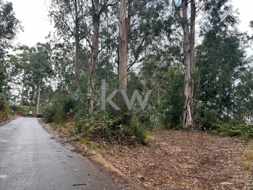 Terreno para Venda em Ponta do Sol Foto 14