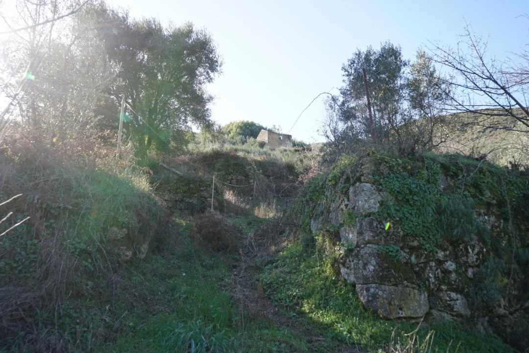 Quinta T2 para Venda em Vela Foto 16