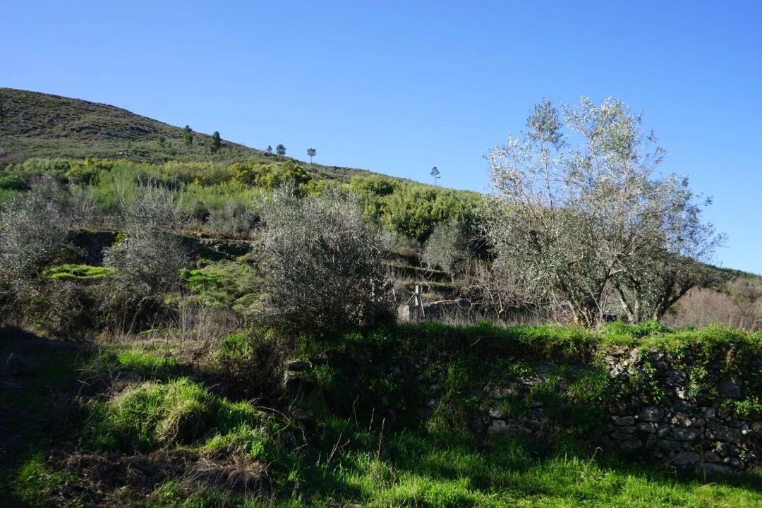 Quinta T2 para Venda em Vela Foto 20