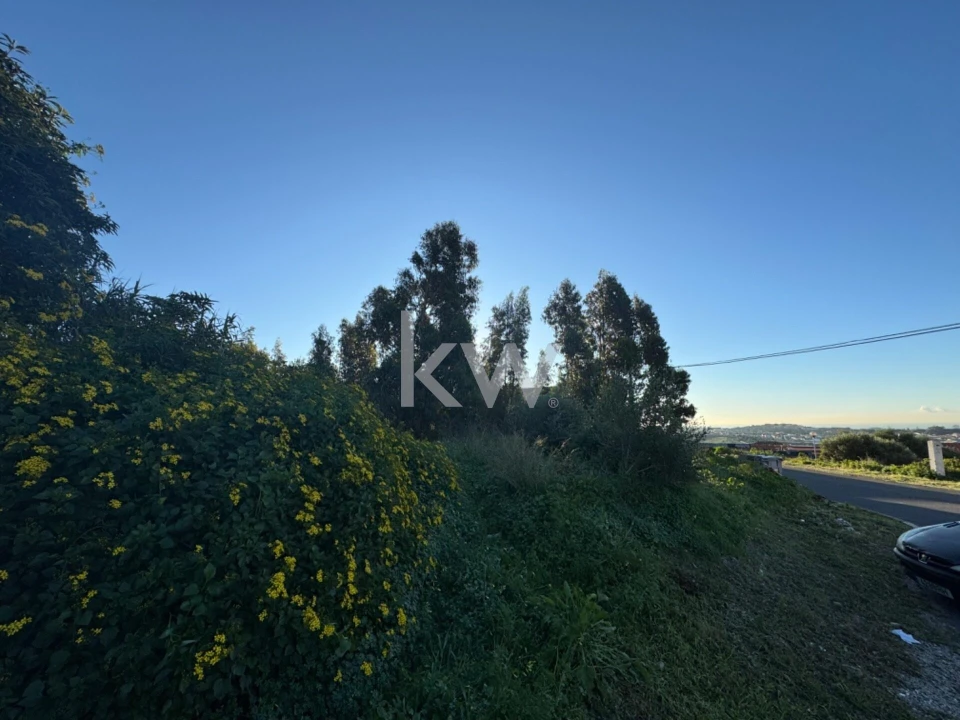 Terreno para Venda em Alcabideche Foto 8