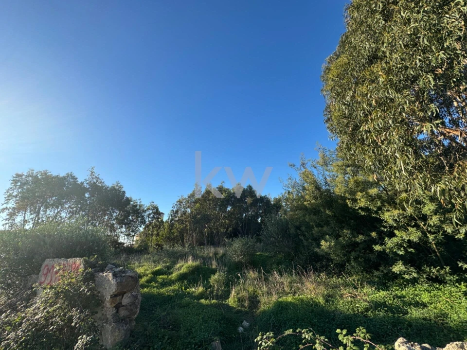 Terreno para Venda em Alcabideche Foto 12