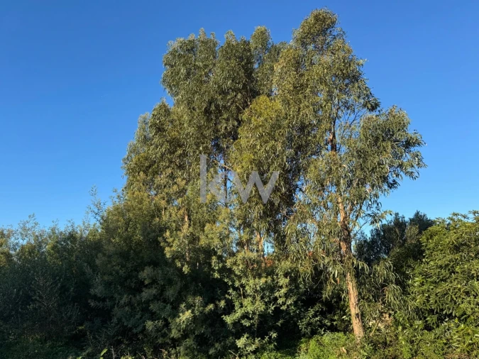 Terreno para Venda em Alcabideche Foto 11