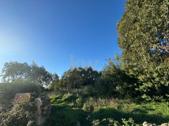 Terreno para Venda em Alcabideche Foto 12