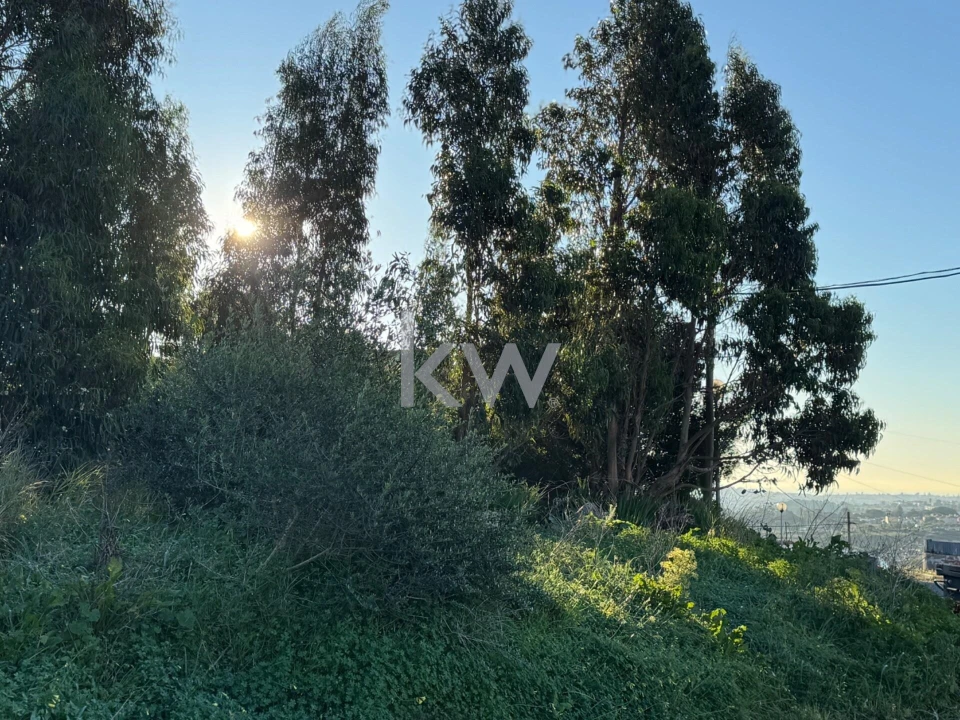 Terreno para Venda em Alcabideche Foto 6