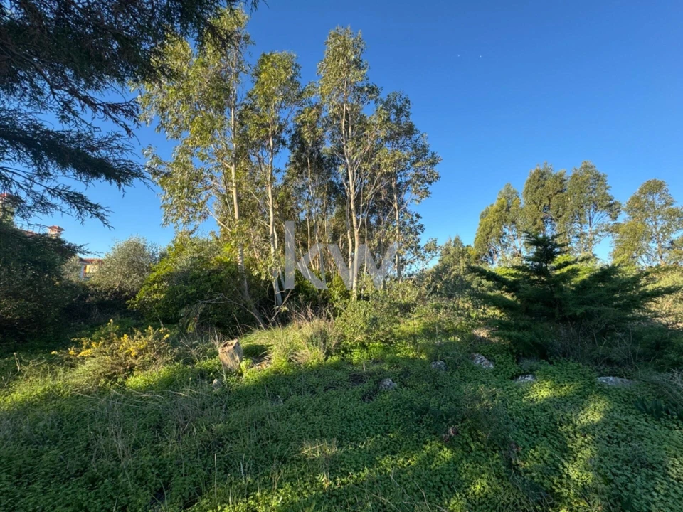 Terreno para Venda em Alcabideche Foto 4