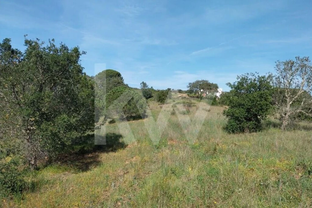 Quinta T3 para Venda em Melides Foto 26