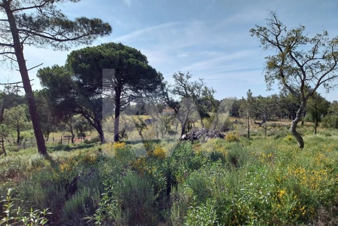 Quinta T3 para Venda em Melides Foto 14