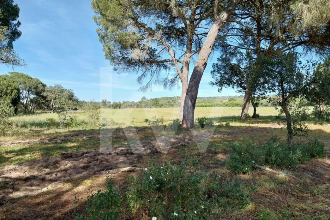 Quinta T3 para Venda em Melides Foto 9