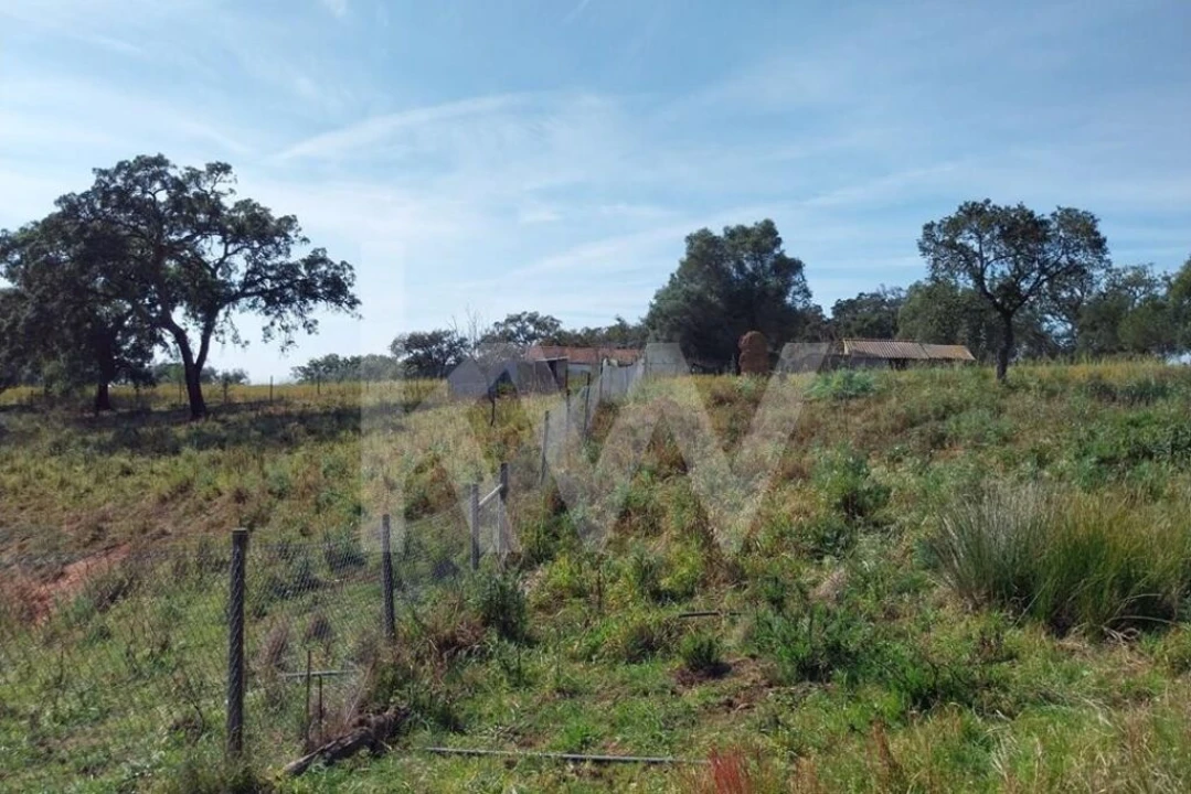 Quinta T3 para Venda em Melides Foto 10