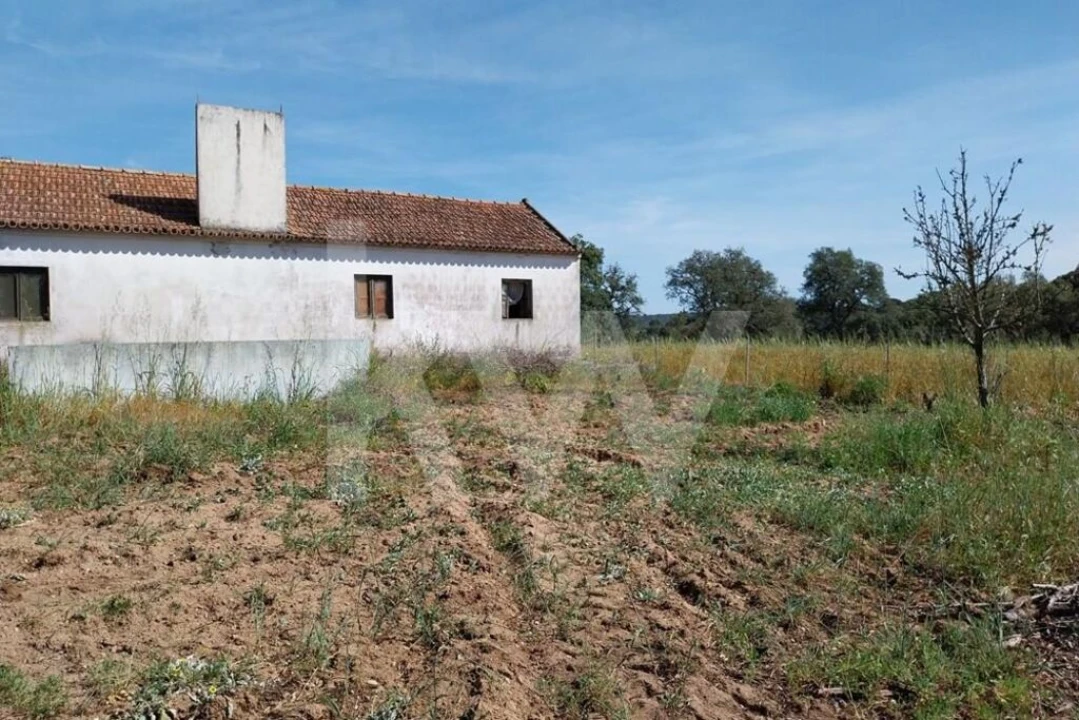 Quinta T3 para Venda em Melides Foto 8