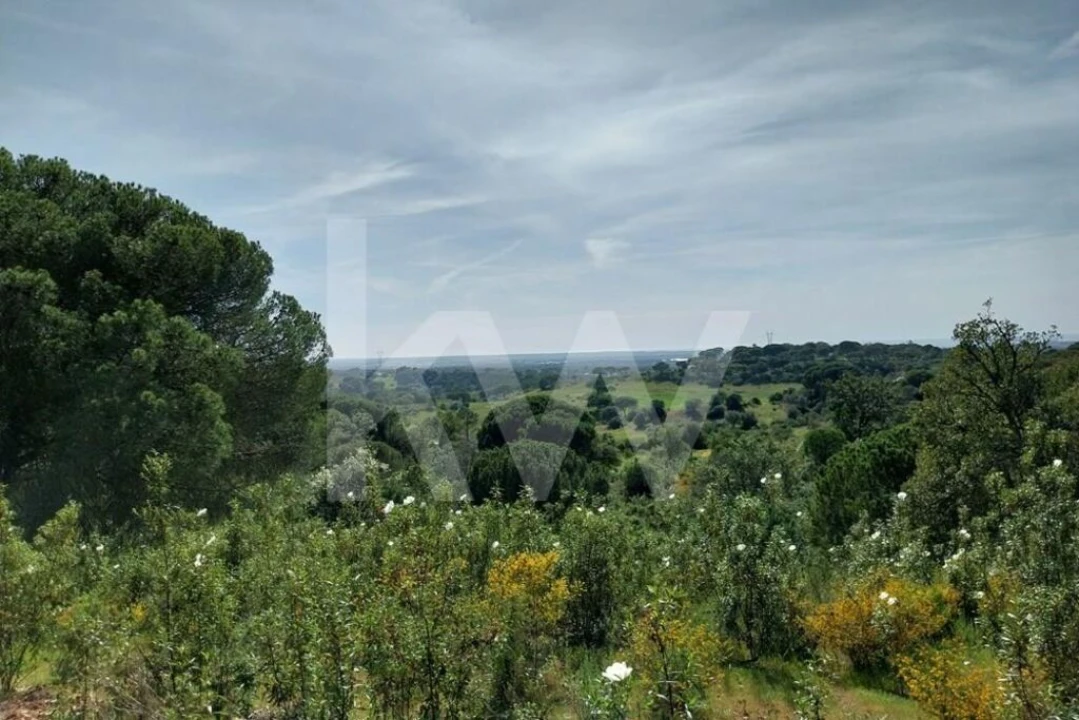 Quinta T3 para Venda em Melides Foto 2