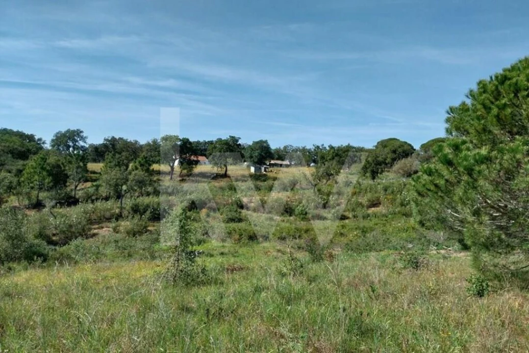 Quinta T3 para Venda em Melides Foto 21