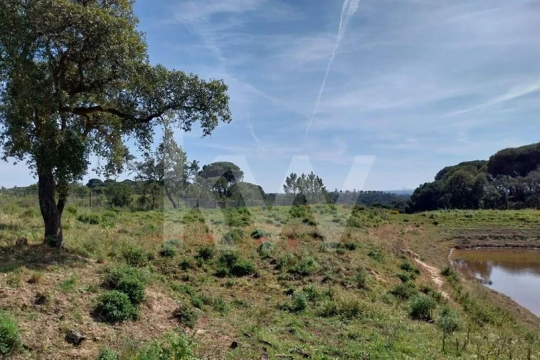 Quinta T3 para Venda em Melides Foto 19